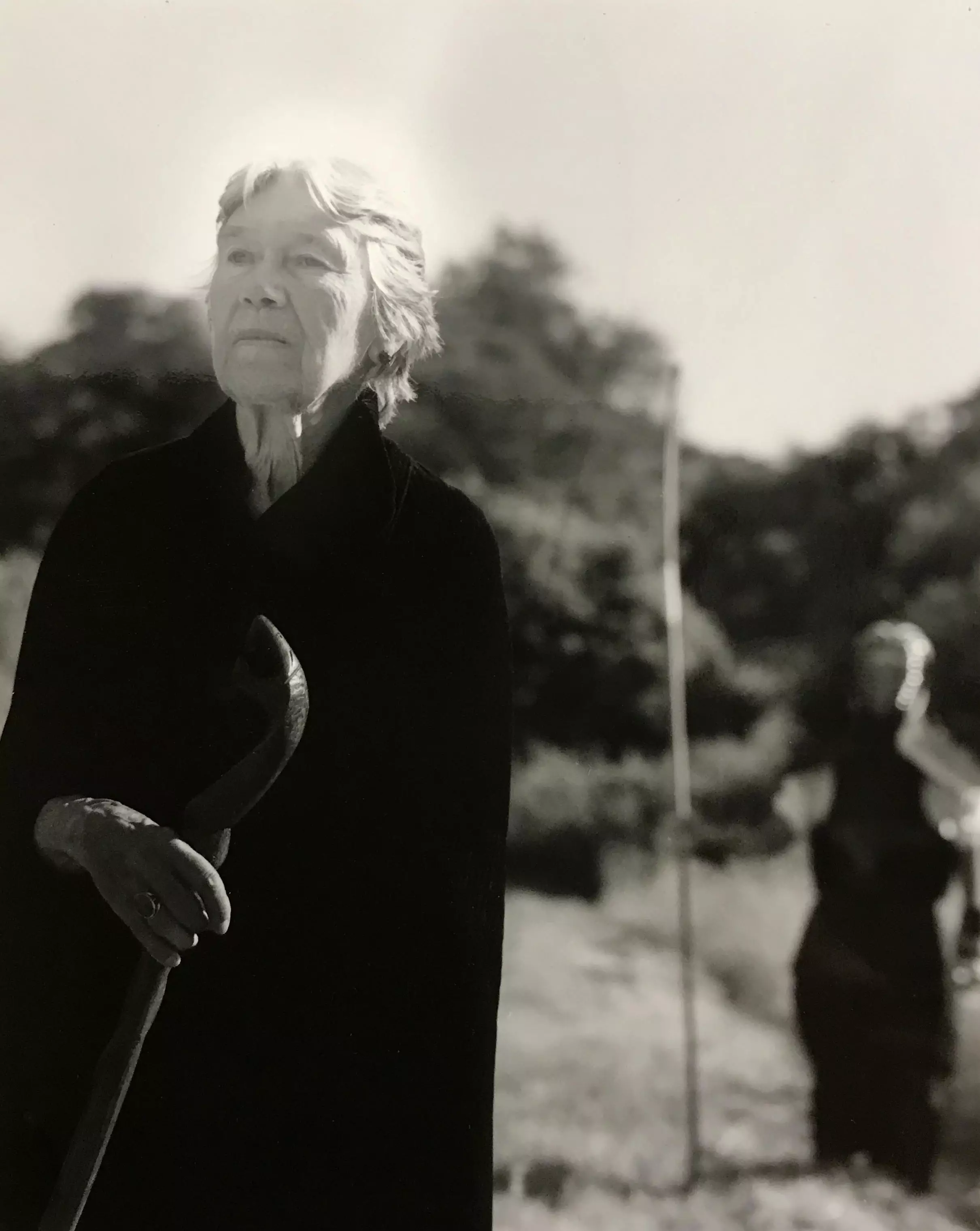 image of 艾尔莎·吉德洛