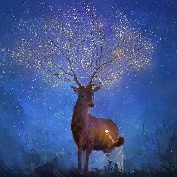 风中行走