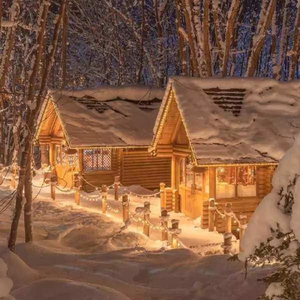 糯米糖葫芦罢了