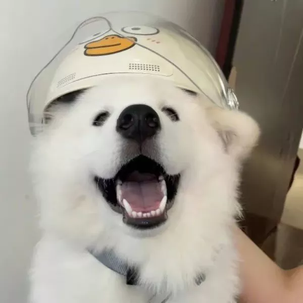稍等片刻