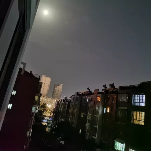 今明