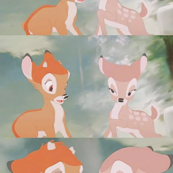 凡妮莎张不写诗