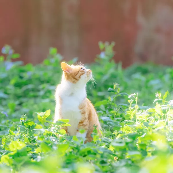 烨然若神人( •︠ˍ•︡ )