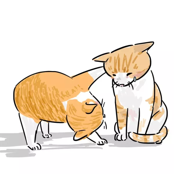小王