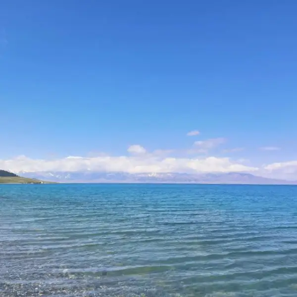 淮枳
