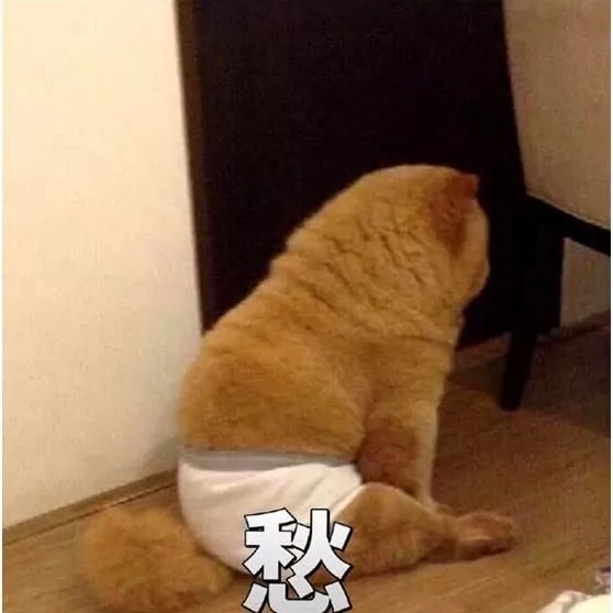 少年不知愁滋味