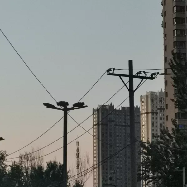 奇怪的要求很友爱