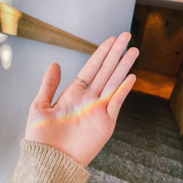 ✨