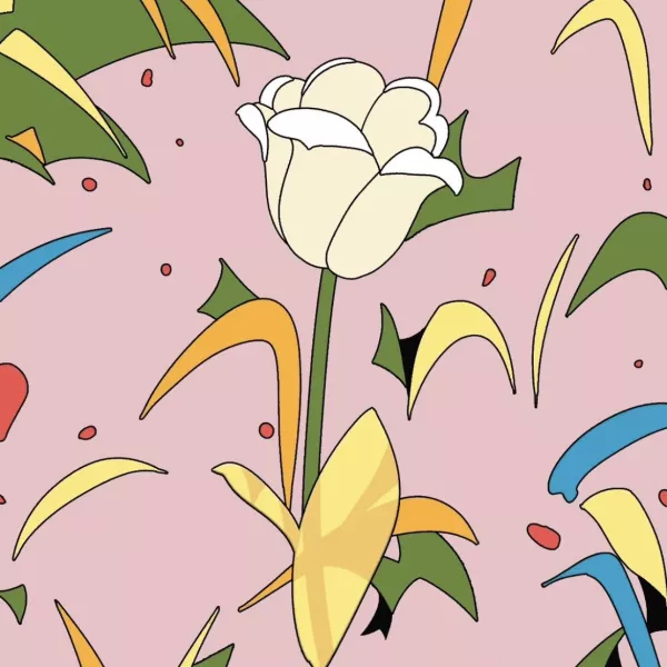 Cone