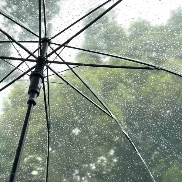 小雨