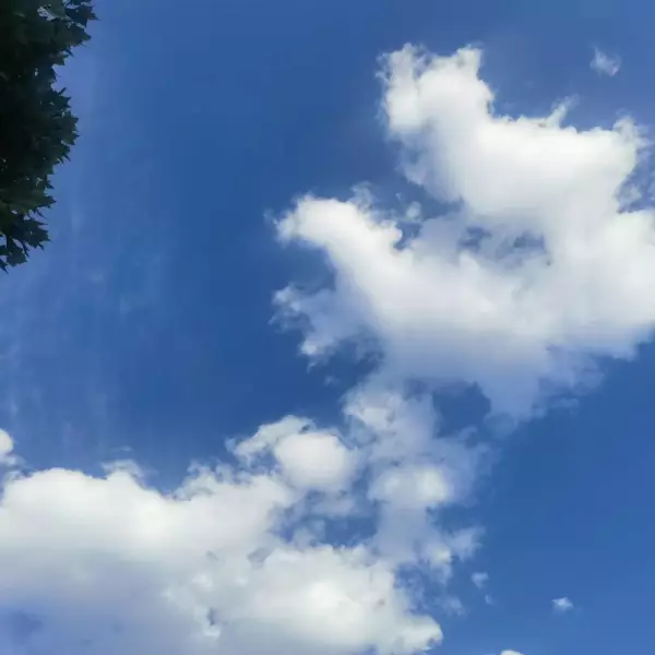 微风的风H