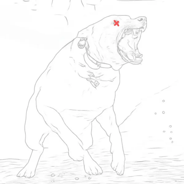 死狗