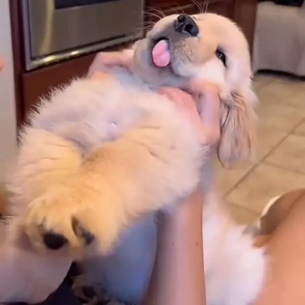 小万