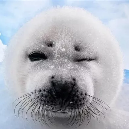 周一