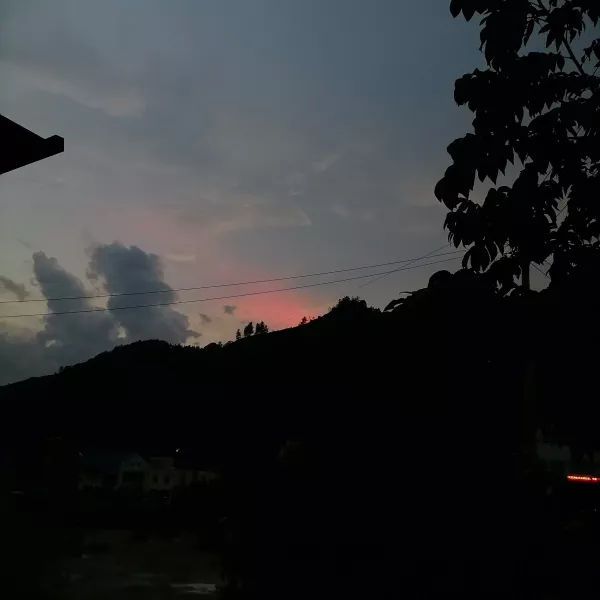纸皮核桃