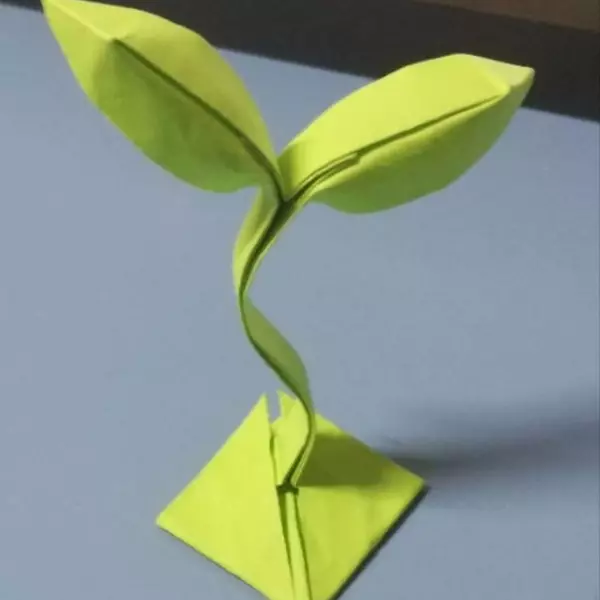 阿芜