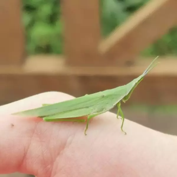 站着说话不腰疼