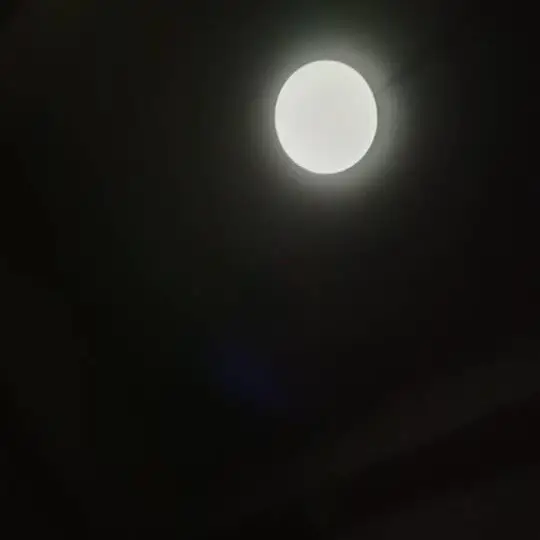 卢玉蒸