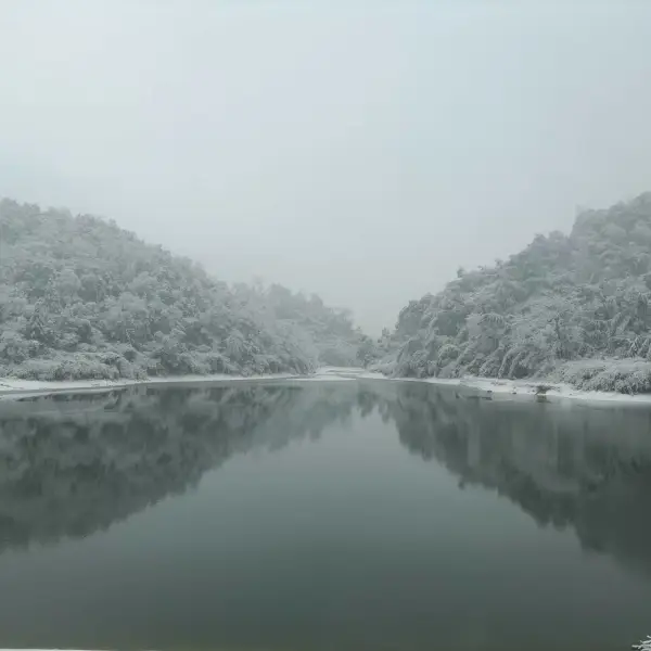 做一回小小人类