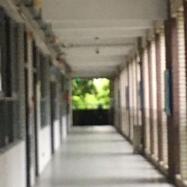 尽头里的一抹绿