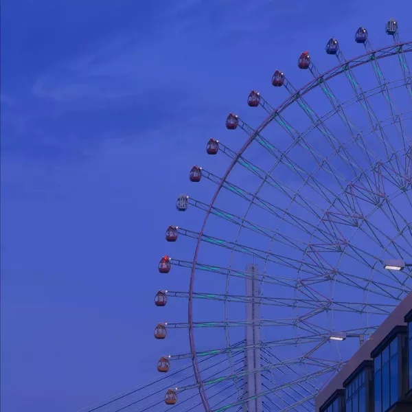 木禾禾