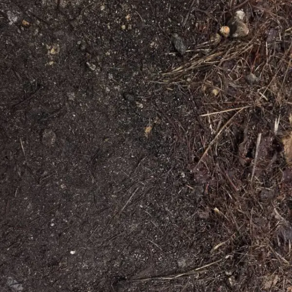 纯粹的深湖蓝蒸发皿