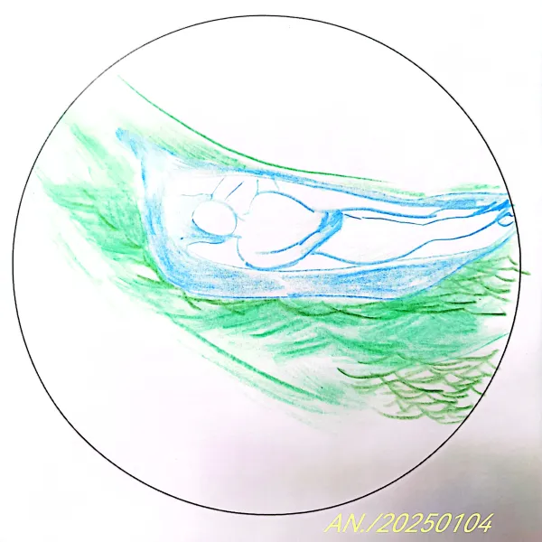 易枞