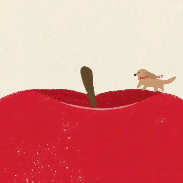 梦龙先生的城堡