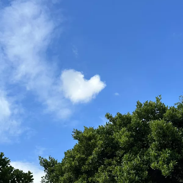 雲深