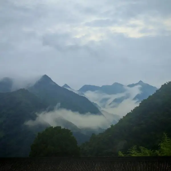 曾伴浮云归晚翠