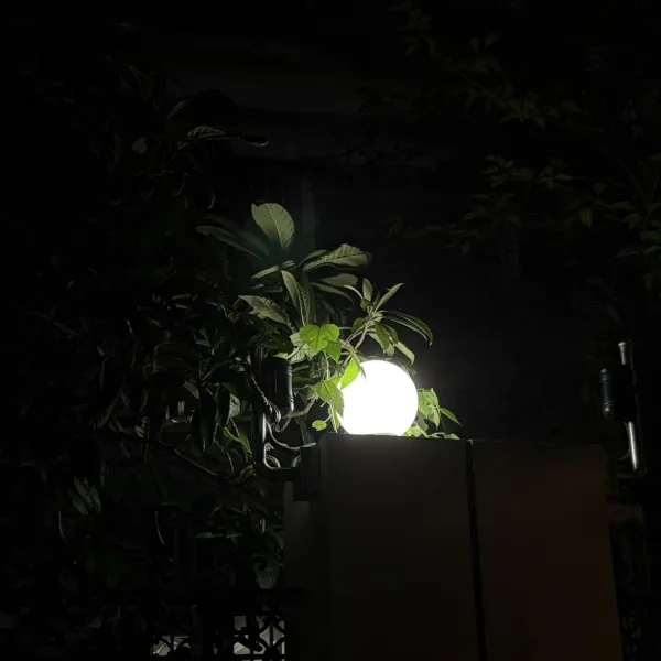 桃