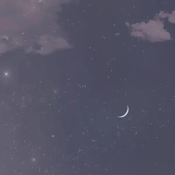 梦貘