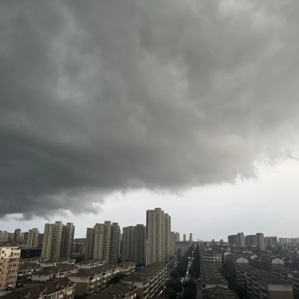 青苔