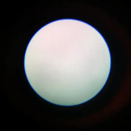 玩玩