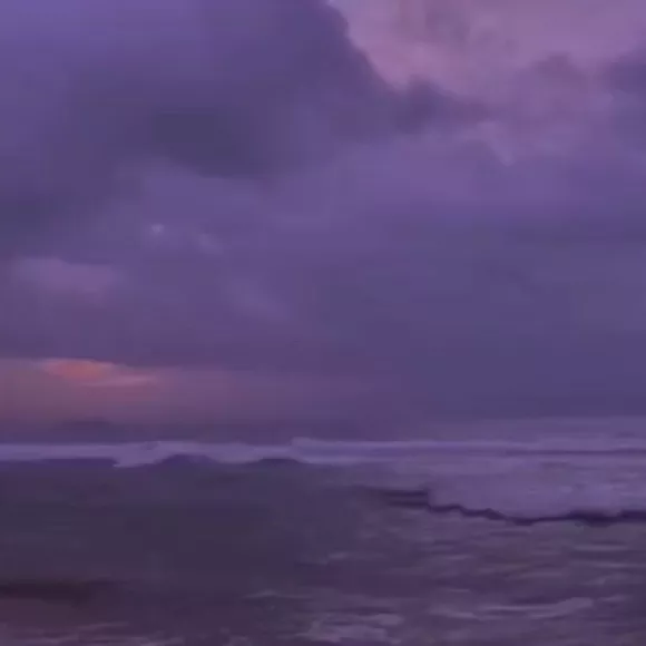 ss.lavendar