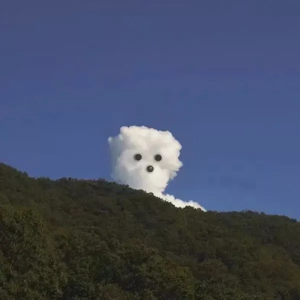 Q