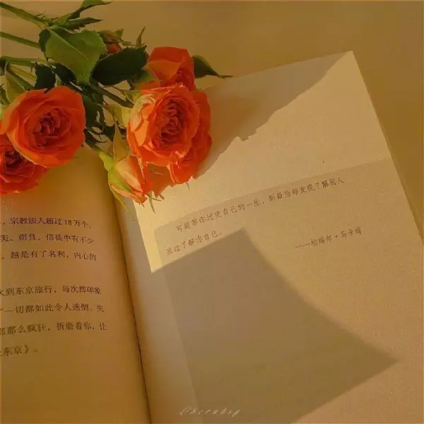 人生刻度