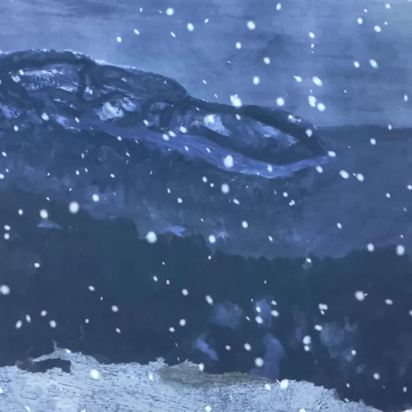 他山